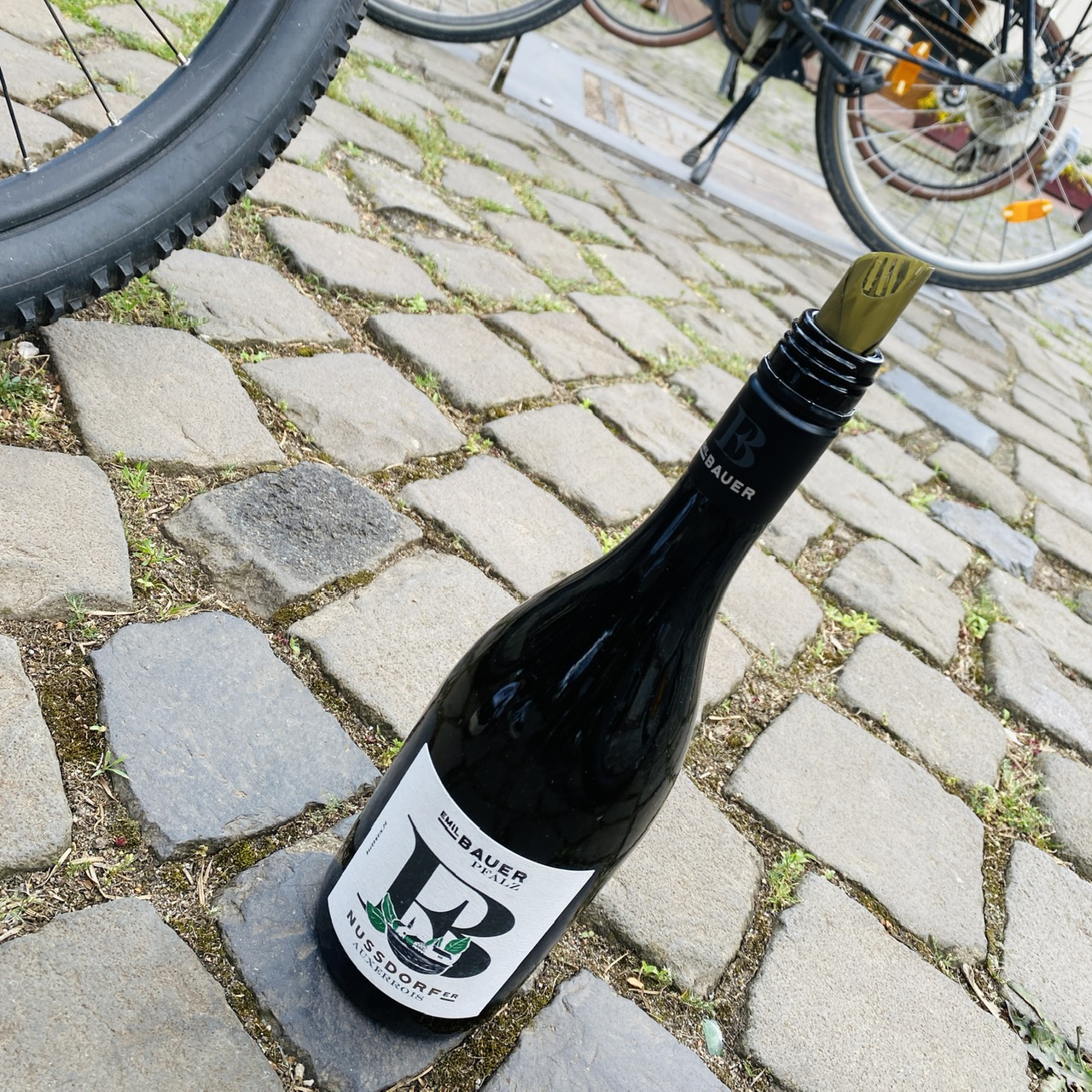 Du betrachtest gerade Rebenradeln: Wein trifft Stadt trifft Fahrrad