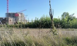 Stadtumbau: Können wir das schaffen?